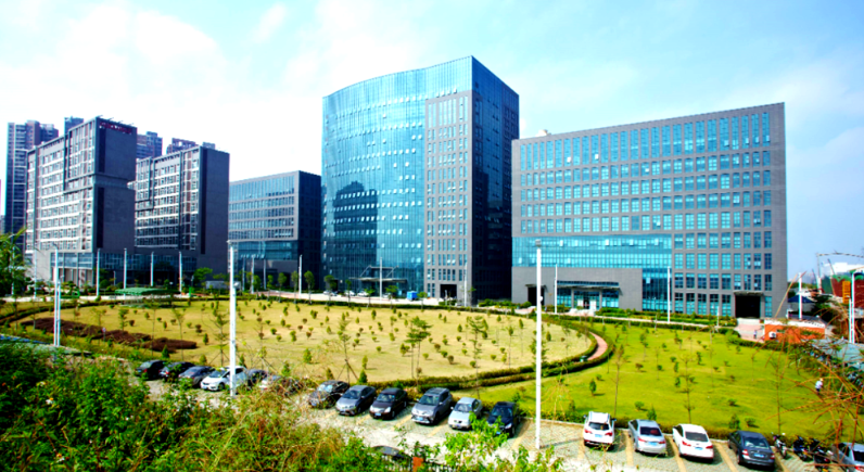 上海丝思网络科技网站建设服务：企业官网定制开发流程与技术要点解析