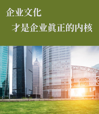 上海丝思网络科技网页设计服务：企业品牌官网视觉升级方案